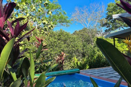 Villas Pura Vida - Jardines