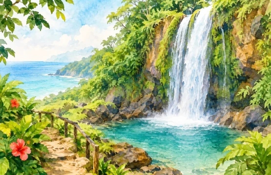 Planning Your Montezuma Waterfall Daytrip
